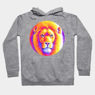 Sunset on the Savanna - Colorful African Lion Hoodie